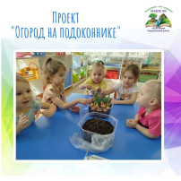 "Огород на подоконнике". "Огород на подоконнике".